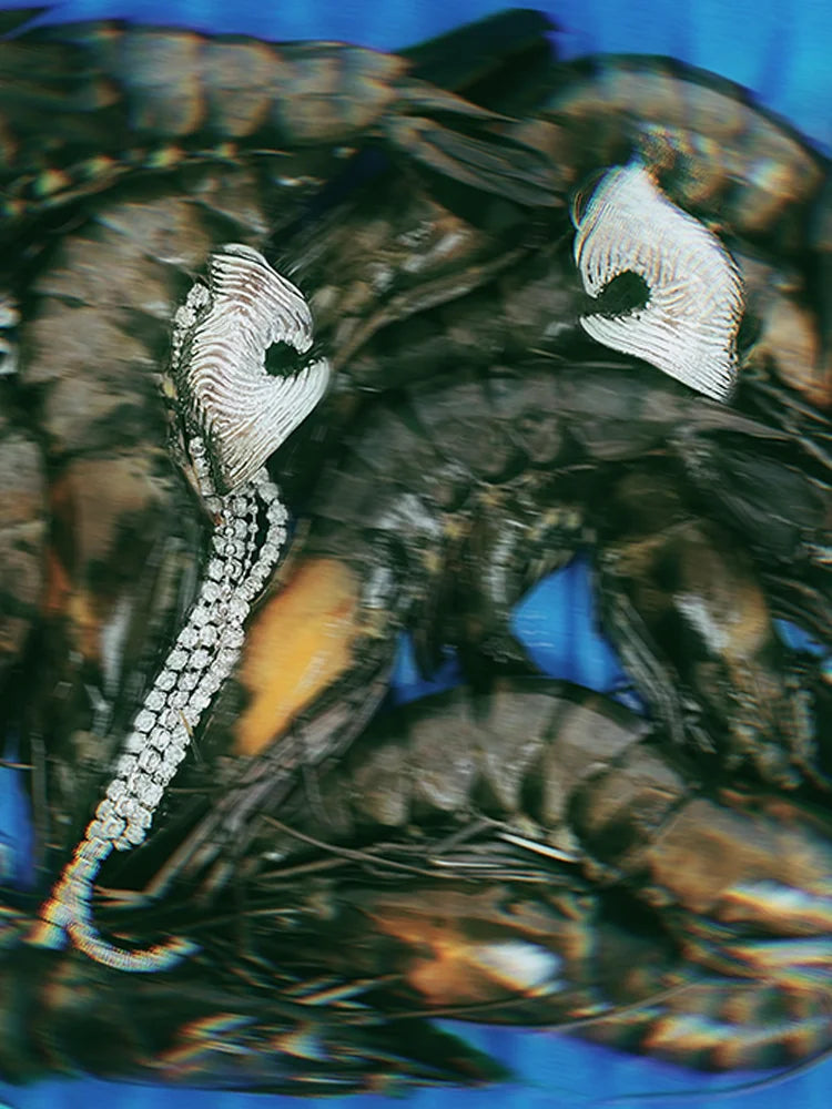 Fairies Whisper Fish Market Silver statement earrings resembling sea creatures