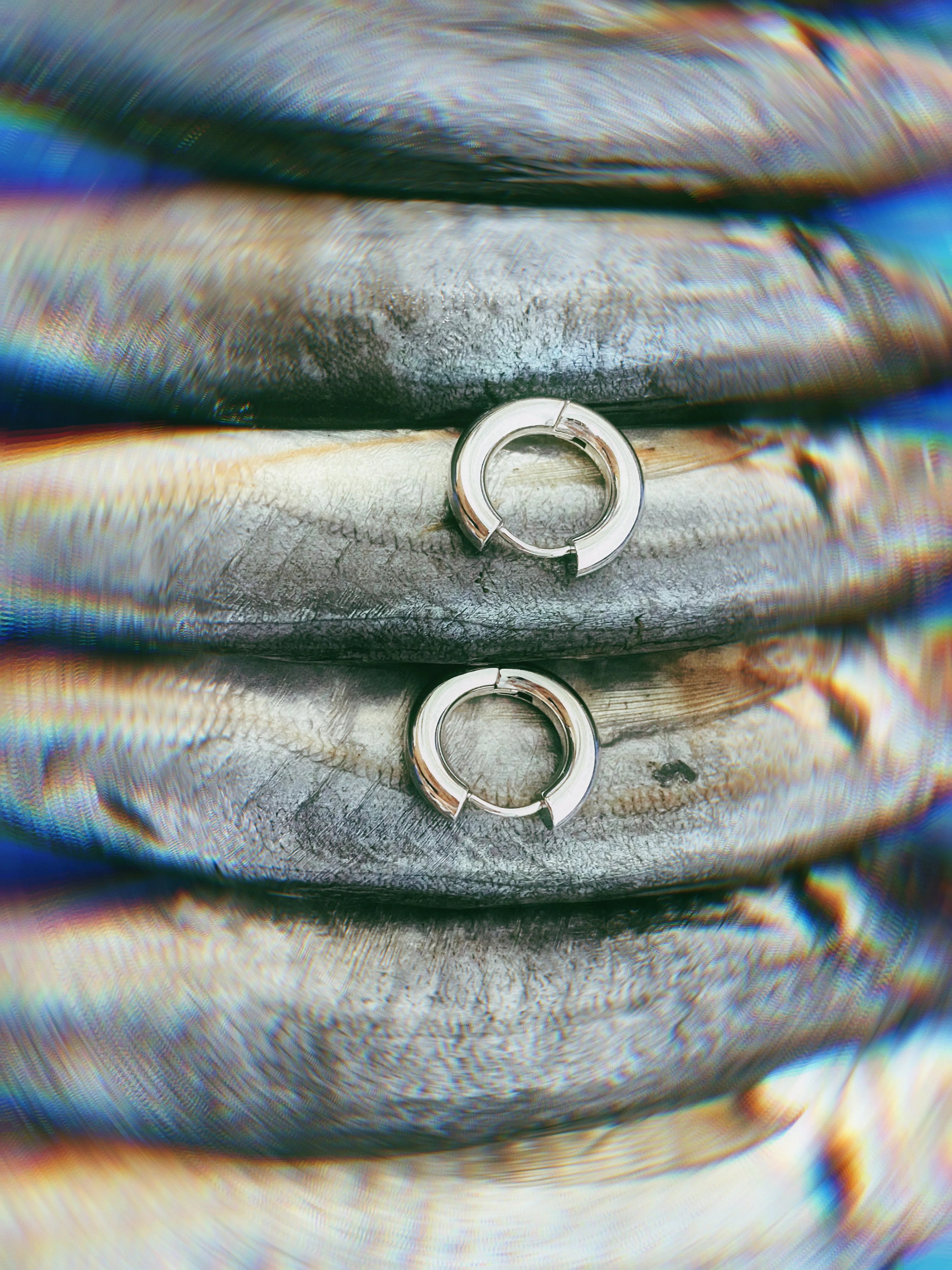 FW Fish Eye earrings in close-up, reflective polished silver, capturing industrial and oceanic vitality.