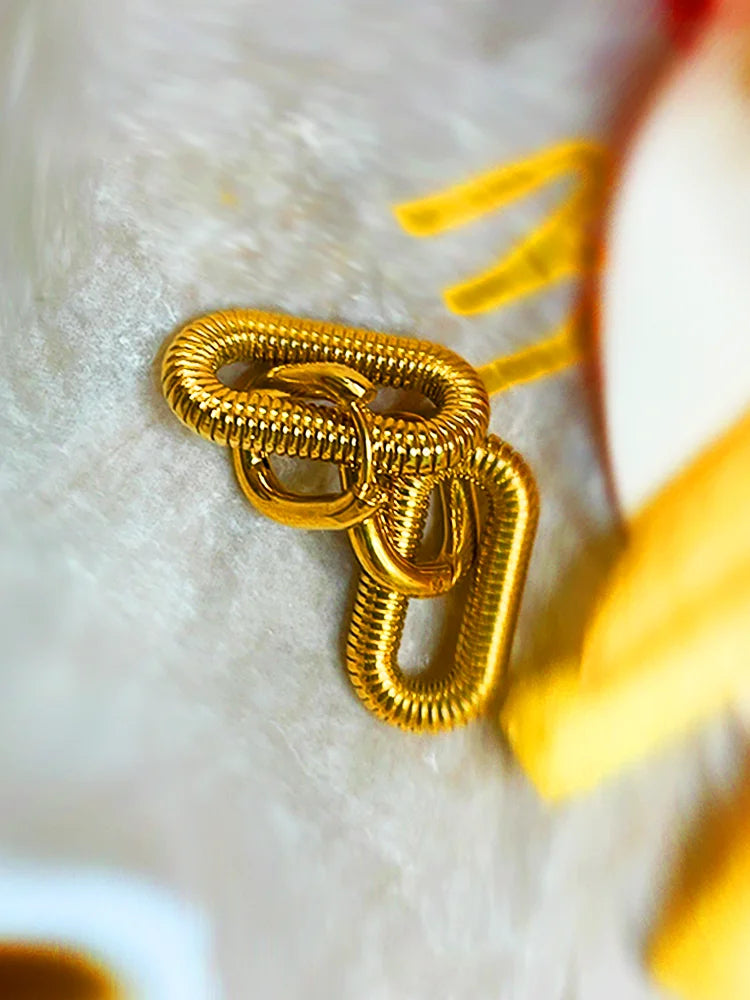 Fairies Whisper Arena Earrings front view, gold rounded rectangle spring coil industrial jewelry design